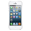 Apple iPhone 5 16Gb white - Мончегорск