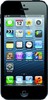 Apple iPhone 5 16GB - Мончегорск